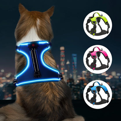 LED Dog Harness- Durable Light up Dog Harness, Reflective Dog Harness Light, Adjustable LED Dog Coat for Small, Medium and Large Dogs (Large, Blue)